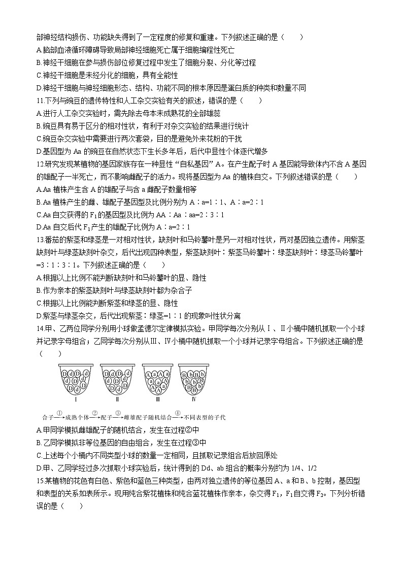 安徽省皖北名校2023-2024学年高一下学期阶段性考试生物试题03