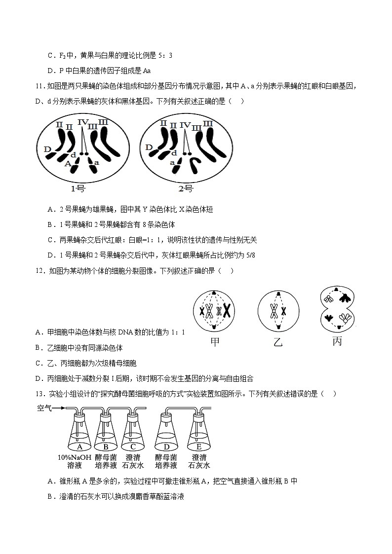 4月12日第一次段考高一生物学试卷(含答案）第3页