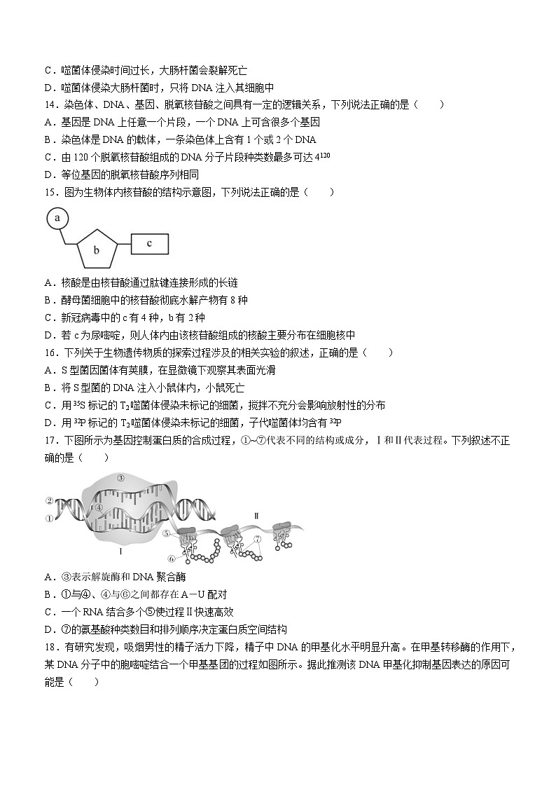 贵州省榕江县第三高级中学2023-2024学年高一下学期期中考试生物试题03