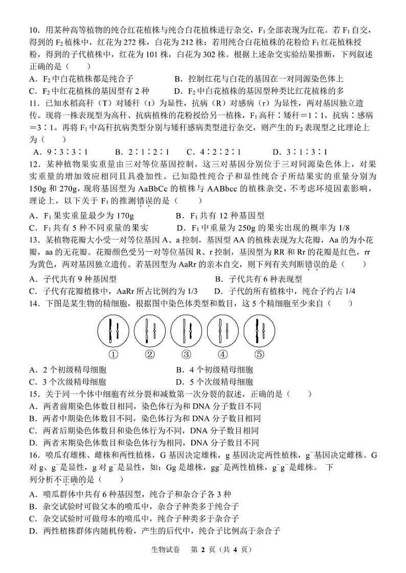 河南省郑州市金水区郑州十一中2023-2024学年高一下学期4月月考生物试题02