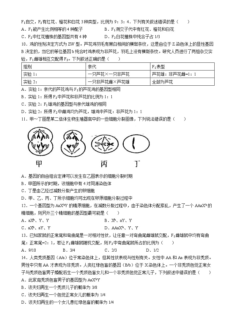 吉林省洮南市第一中学2023-2024学年高一下学期第一次月考生物试题(无答案)02
