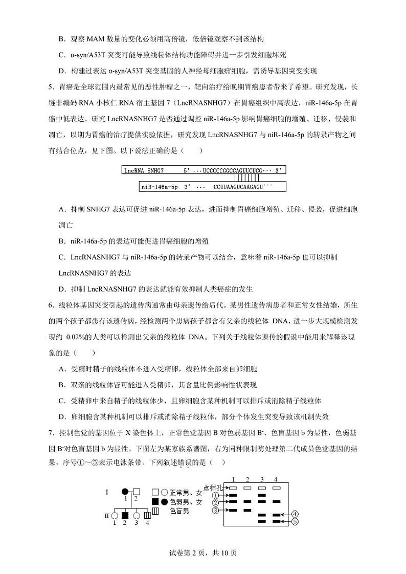 山东省济宁市任城区济宁市第一中学2023-2024学年高三下学期4月月考生物试题02