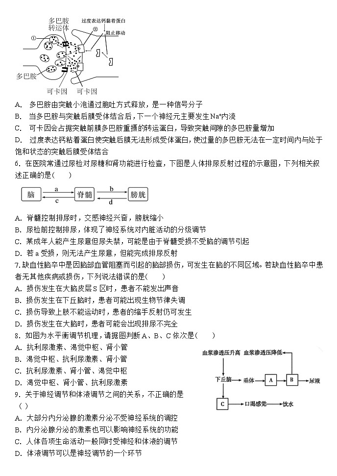 山西省大同市浑源县第七中学校2023－2024学年高二下学期第二次月考生物试题+第2页