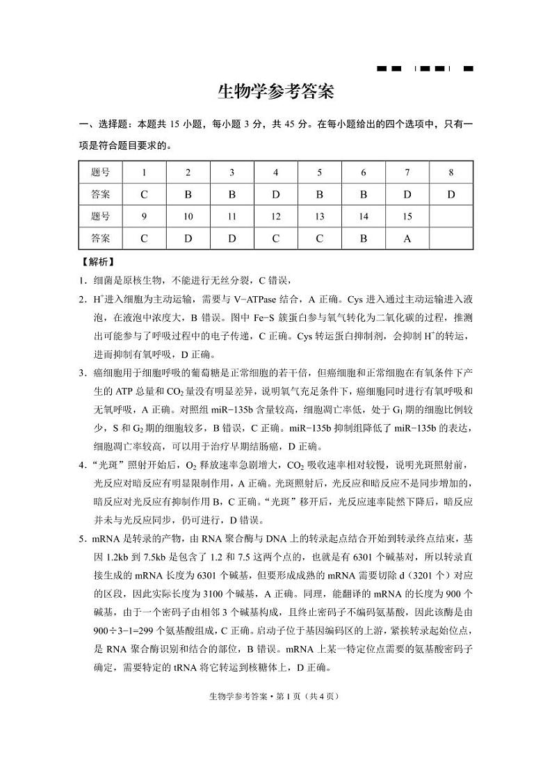 重庆市渝中区巴蜀中学校2023-2024学年高三下学期4月期中生物试题01