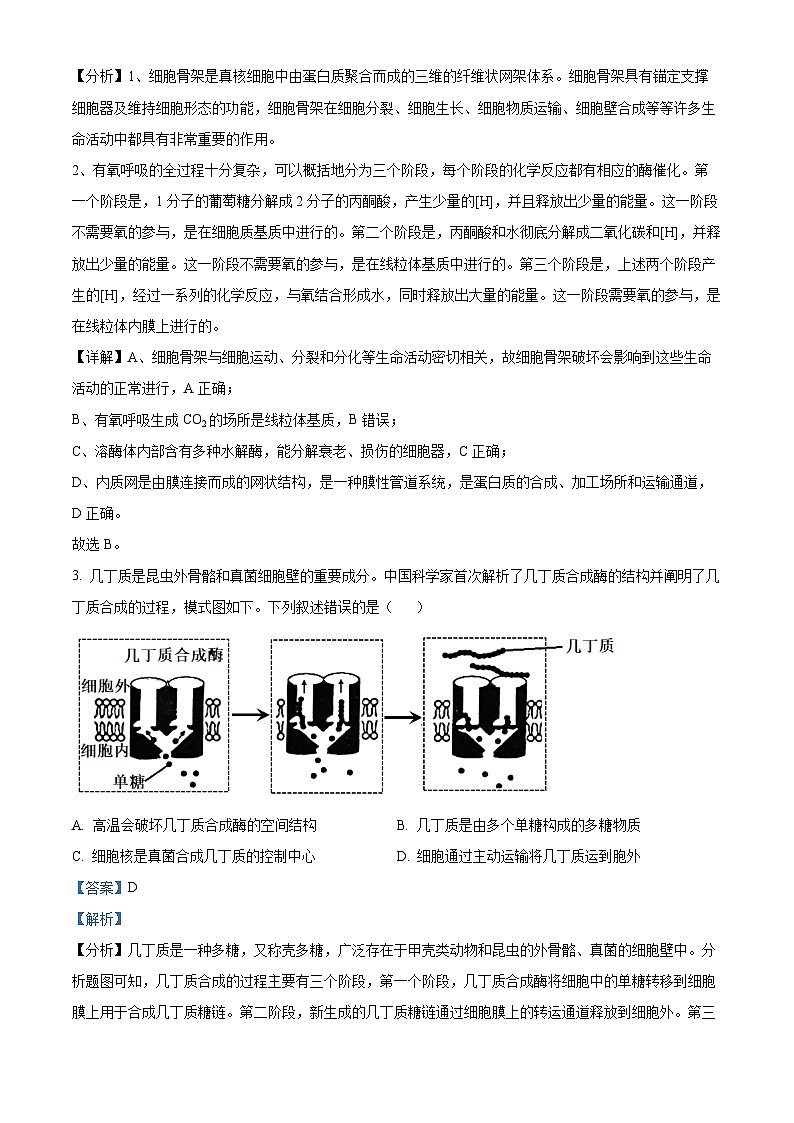 2024届北京市门头沟高三一模生物试题（原卷版+解析版）02