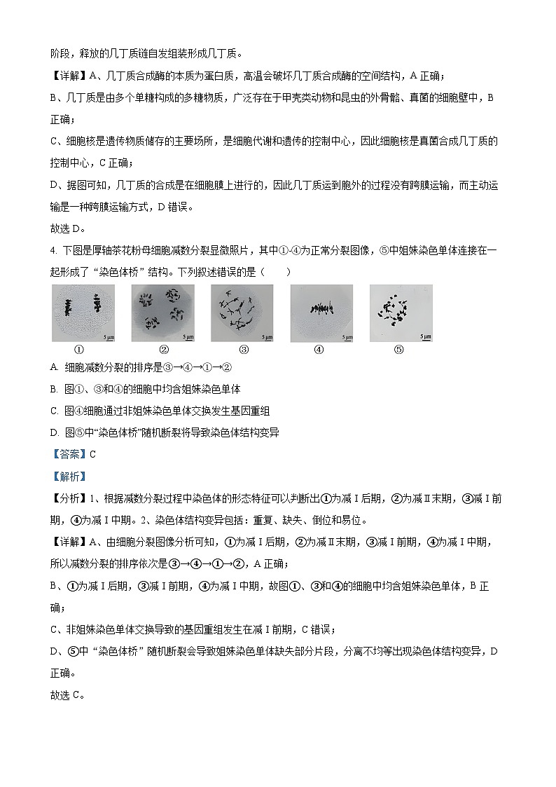 2024届北京市门头沟高三一模生物试题（原卷版+解析版）03