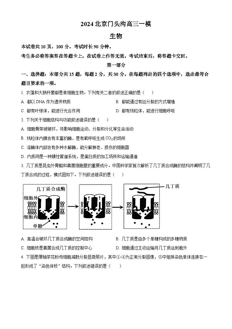 2024届北京市门头沟高三一模生物试题（原卷版+解析版）01