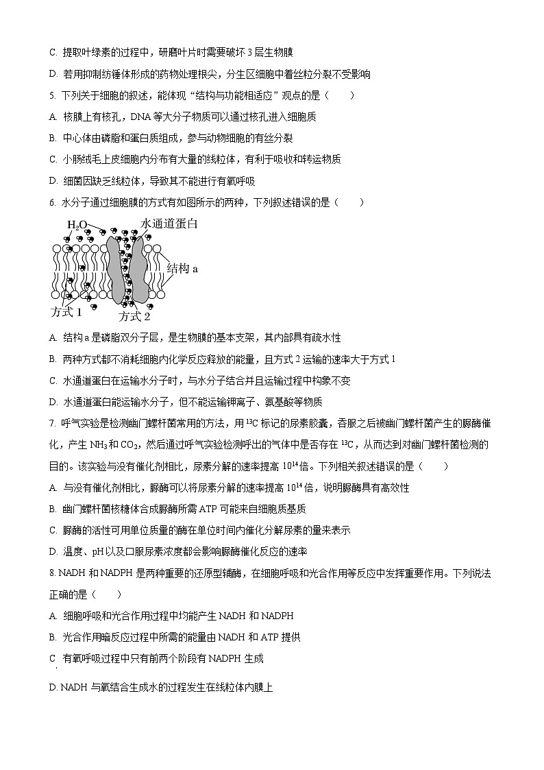 安徽省皖北名校2023-2024学年高一下学期4月阶段性联考生物试卷（Word版附解析）02