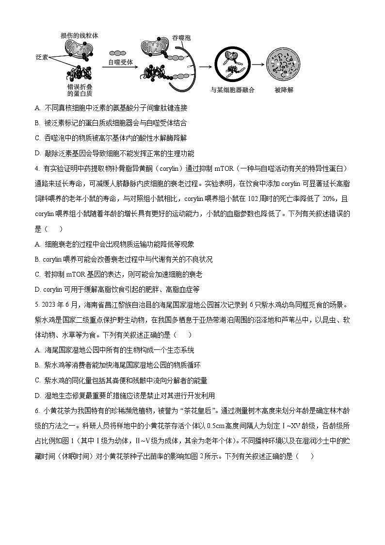 海南省2023-2024学年高三下学期学业水平诊断（四）生物试卷（Word版附解析）第2页