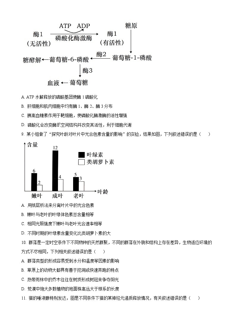 广东省茂名市2024届高三下学期4月二模考试生物试卷（Word版附解析）03