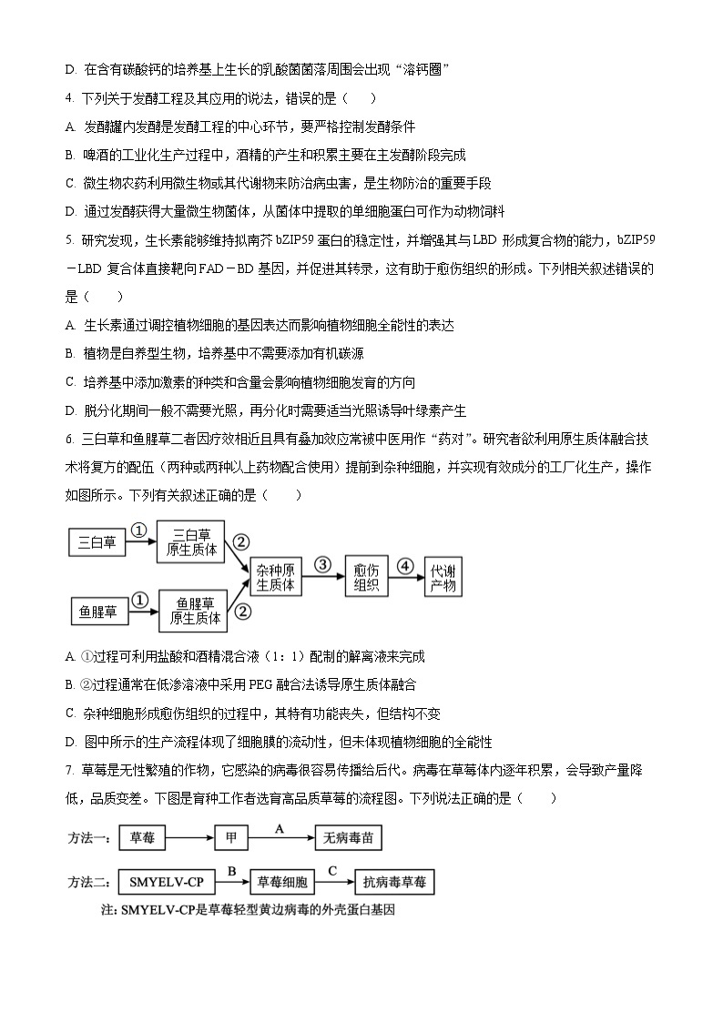 山东省潍坊市安丘市2023-2024学年高二下学期4月月考生物试题（原卷版+解析版）02