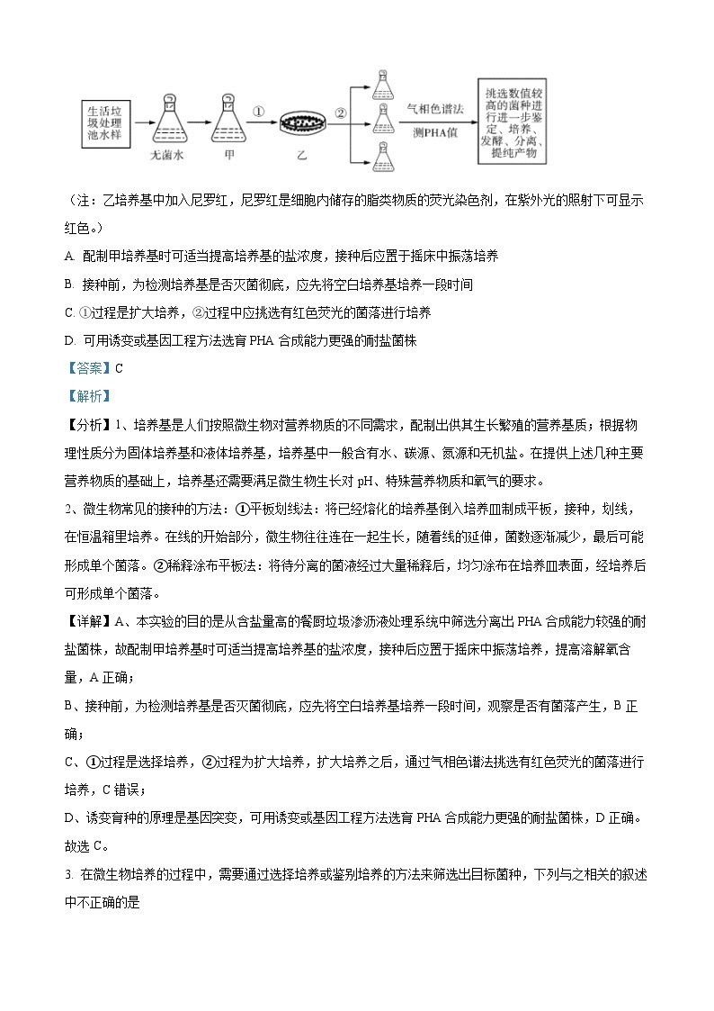 山东省潍坊市安丘市2023-2024学年高二下学期4月月考生物试题（原卷版+解析版）02