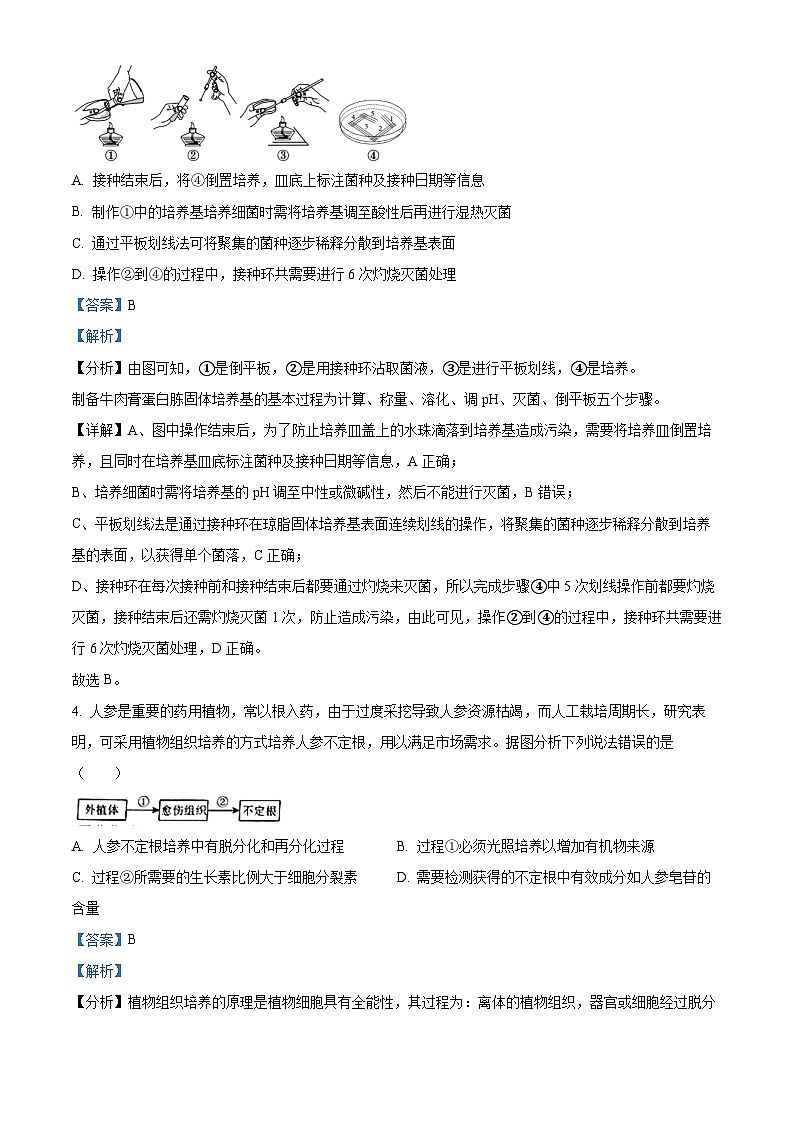 辽宁省重点高中沈阳市郊联体2023-2024高二下学期4月考试生物试题（原卷版+解析版）03