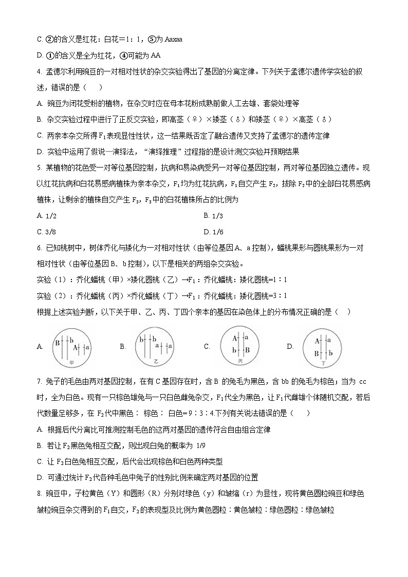 辽宁省沈阳市第二十中学2023-2024学年高一下学期4月月考生物试题（原卷版+解析版）02