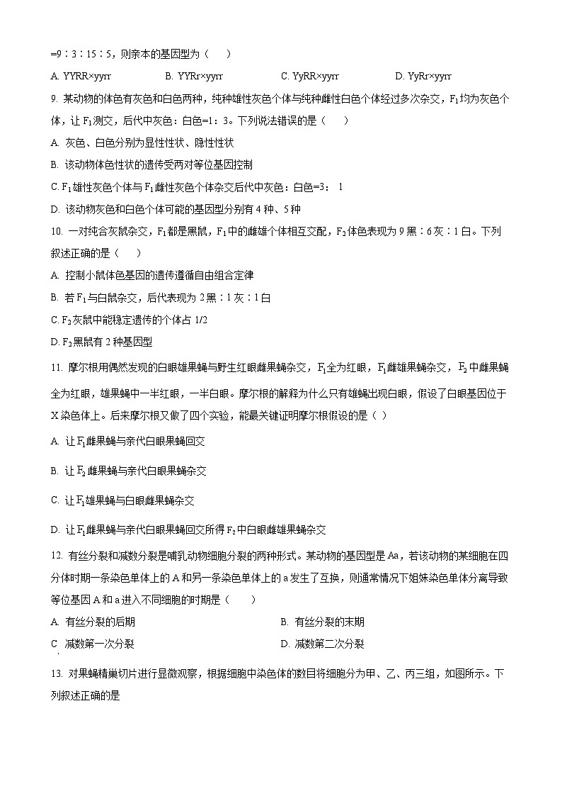 辽宁省沈阳市第二十中学2023-2024学年高一下学期4月月考生物试题（原卷版+解析版）03