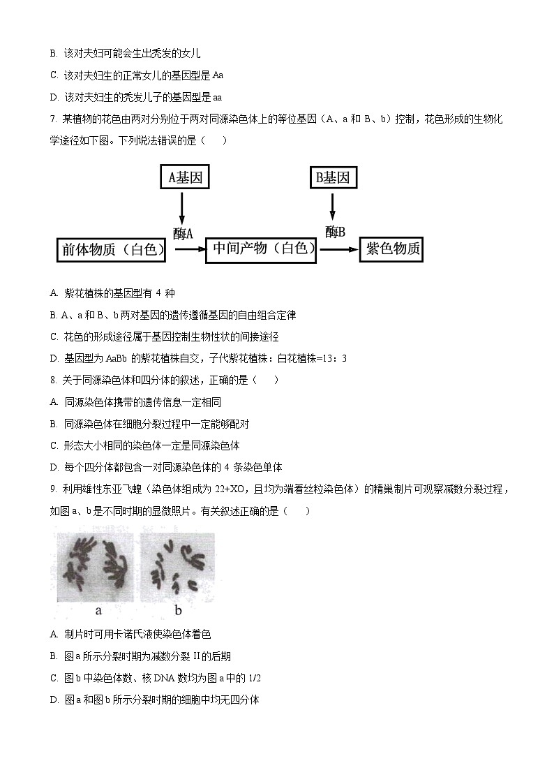 江苏省宿迁市泗阳县桃源路中学2023-2024学年高一下学期4月月考生物试题（原卷版）第2页