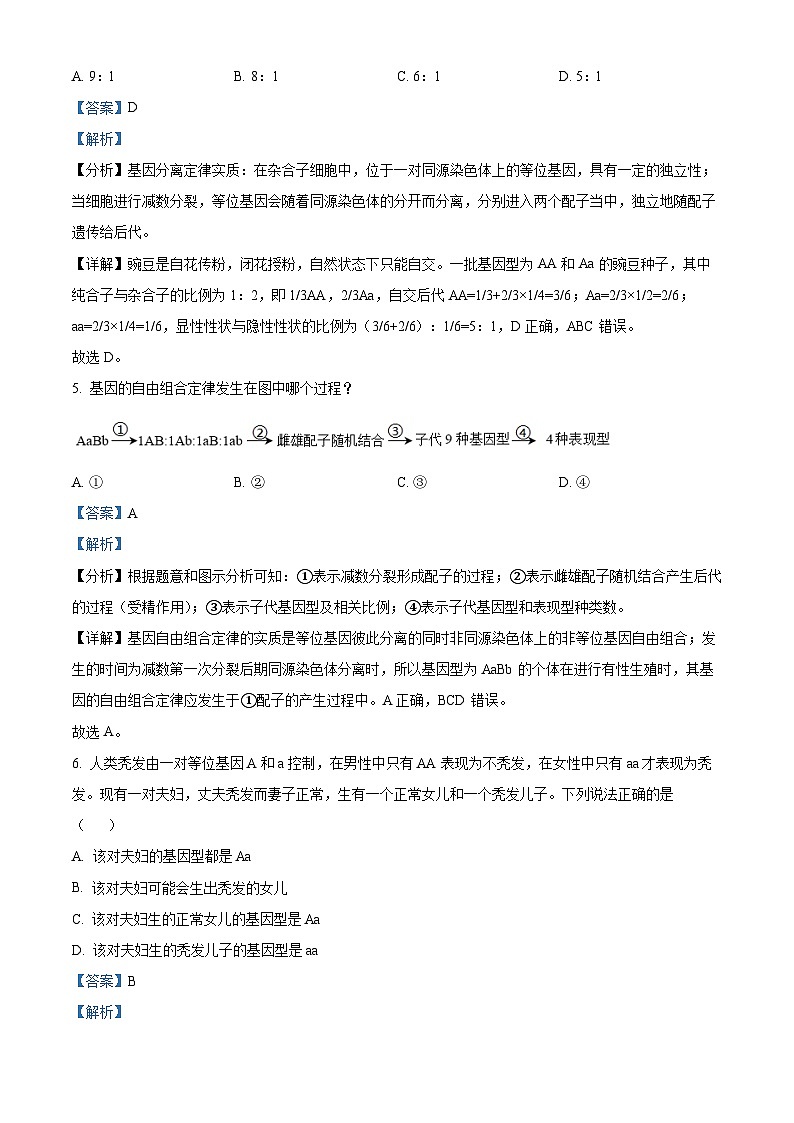 江苏省宿迁市泗阳县桃源路中学2023-2024学年高一下学期4月月考生物试题（解析版）第3页