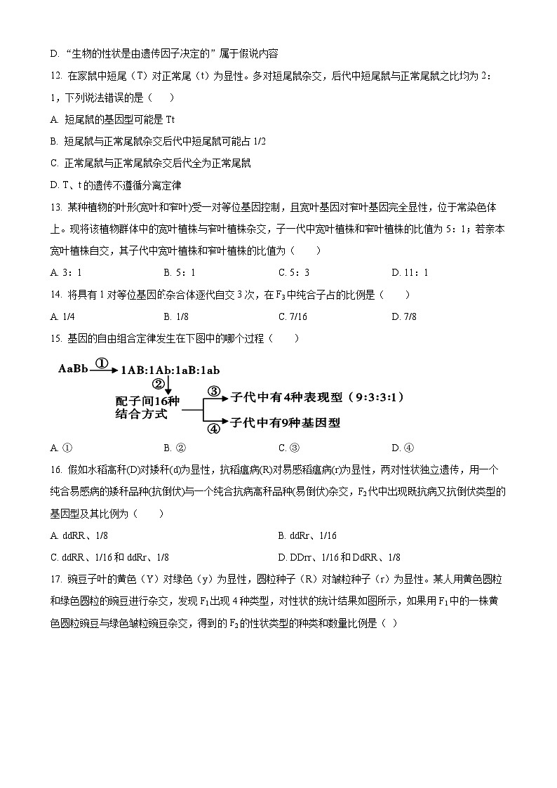 黑龙江省绥化市哈师大青冈实验中学2023-2024学年高一下学期4月月考生物试题（原卷版+解析版）03