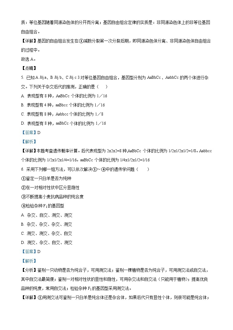 河南省周口中英文学校2023-2024学年高一下学期4月月考生物试卷（原卷版+解析版）03