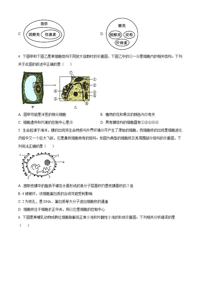 甘肃省定西市临洮中学2023-2024学年高一下学期3月第一次考试生物试题（原卷版+解析版）02
