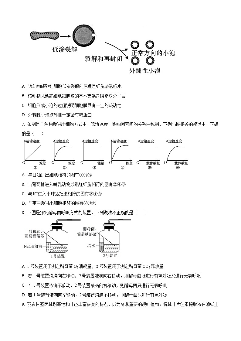 甘肃省定西市临洮中学2023-2024学年高一下学期3月第一次考试生物试题（原卷版+解析版）03