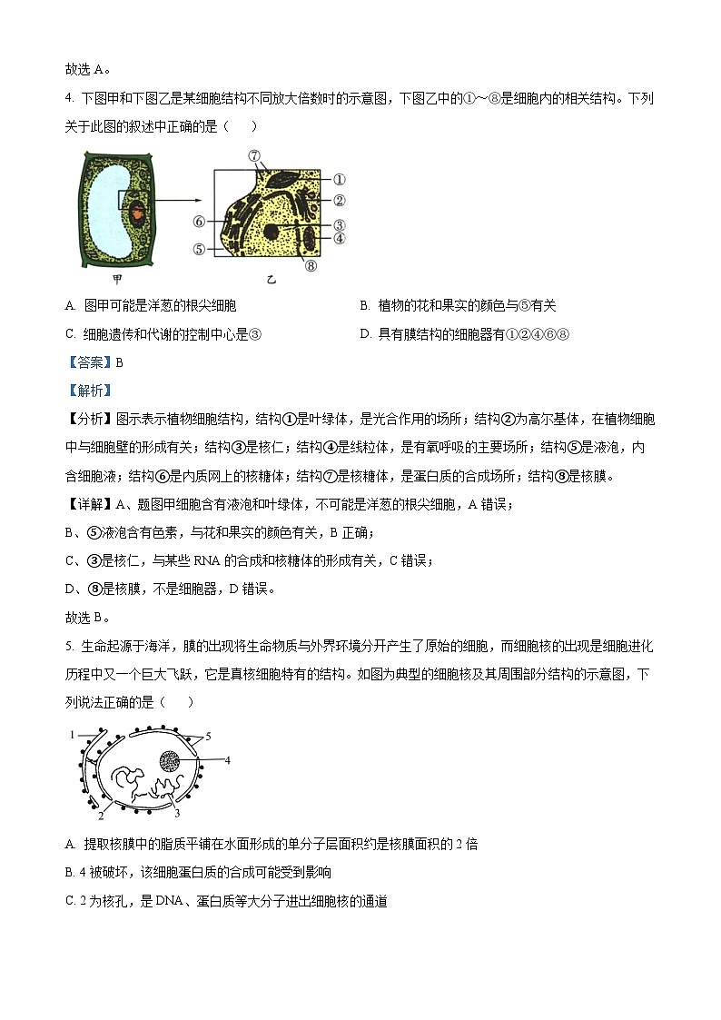 甘肃省定西市临洮中学2023-2024学年高一下学期3月第一次考试生物试题（原卷版+解析版）03
