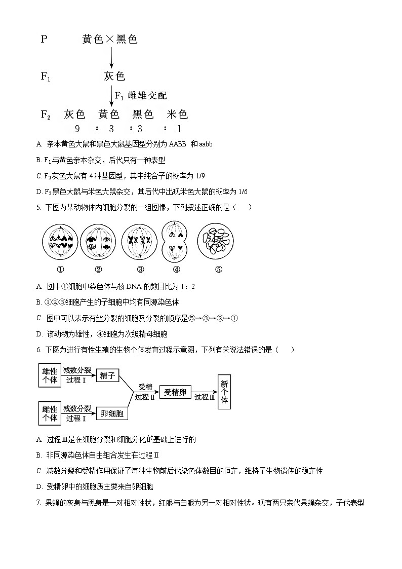 四川省眉山市仁寿县实验中学2023-2024学年高一下学期4月期中生物试题（原卷版）第2页