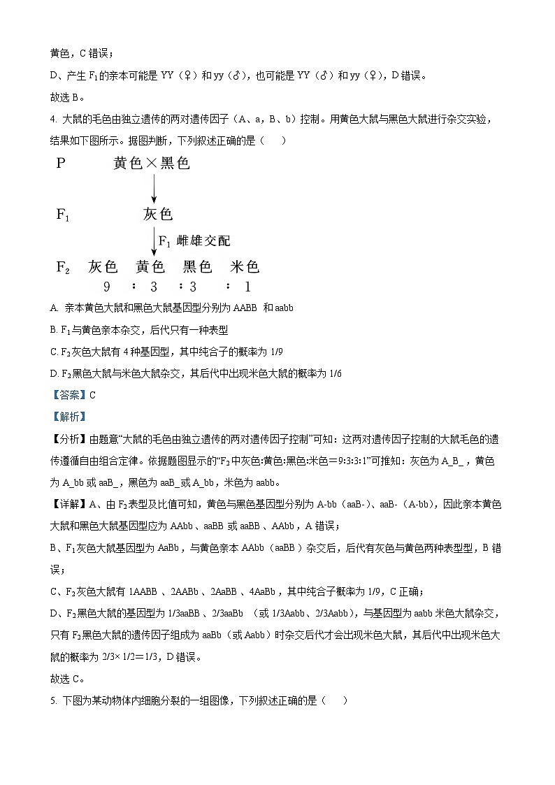 四川省眉山市仁寿县实验中学2023-2024学年高一下学期4月期中生物试题（解析版）第3页