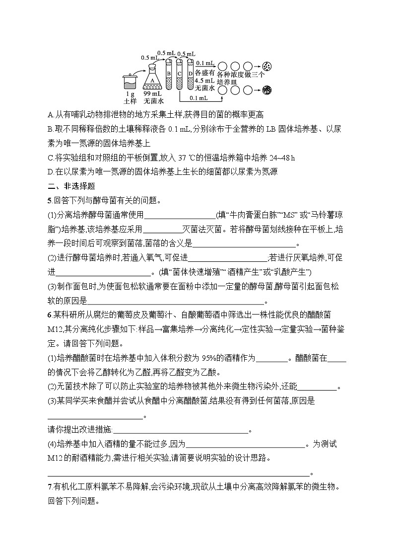 2025届高三一轮复习生物新高考新教材考点规范练35微生物的培养技术及应用（Word版附解析）第2页
