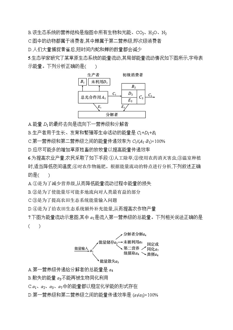 2025届高三一轮复习生物新高考新教材考点规范练31生态系统的结构与能量流动（Word版附解析）02