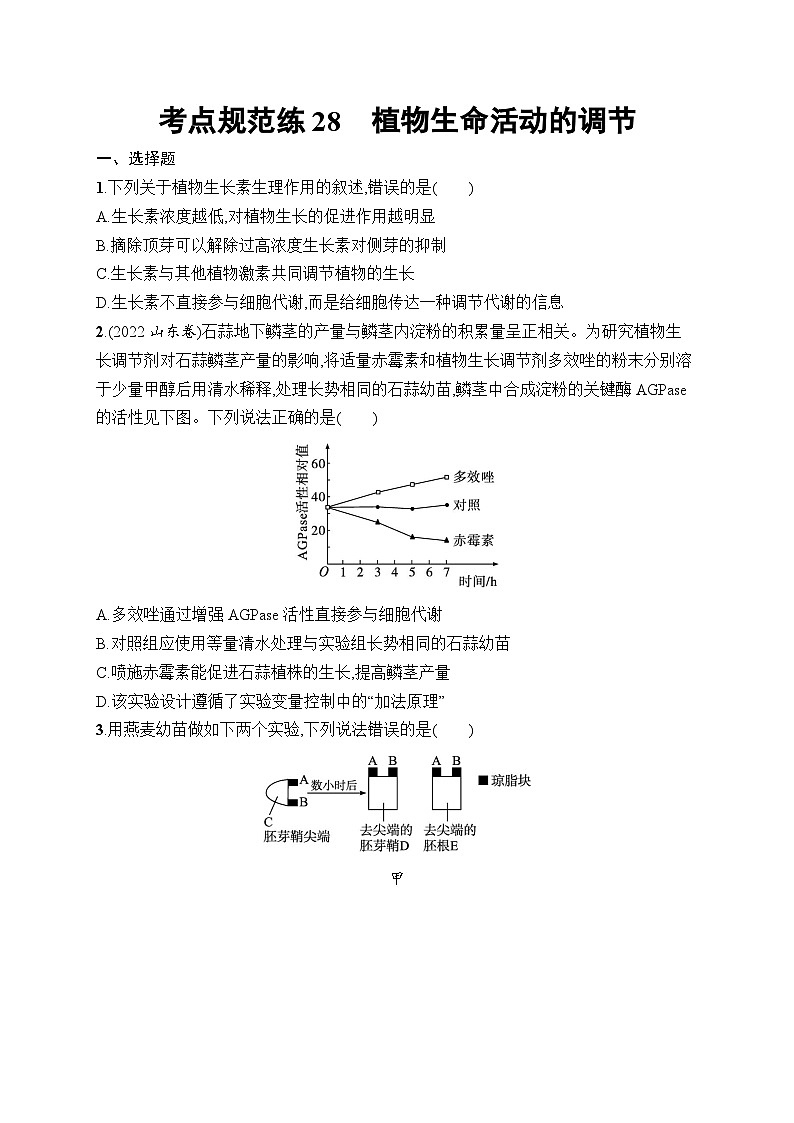2025届高三一轮复习生物新高考新教材考点规范练28植物生命活动的调节（Word版附解析）01