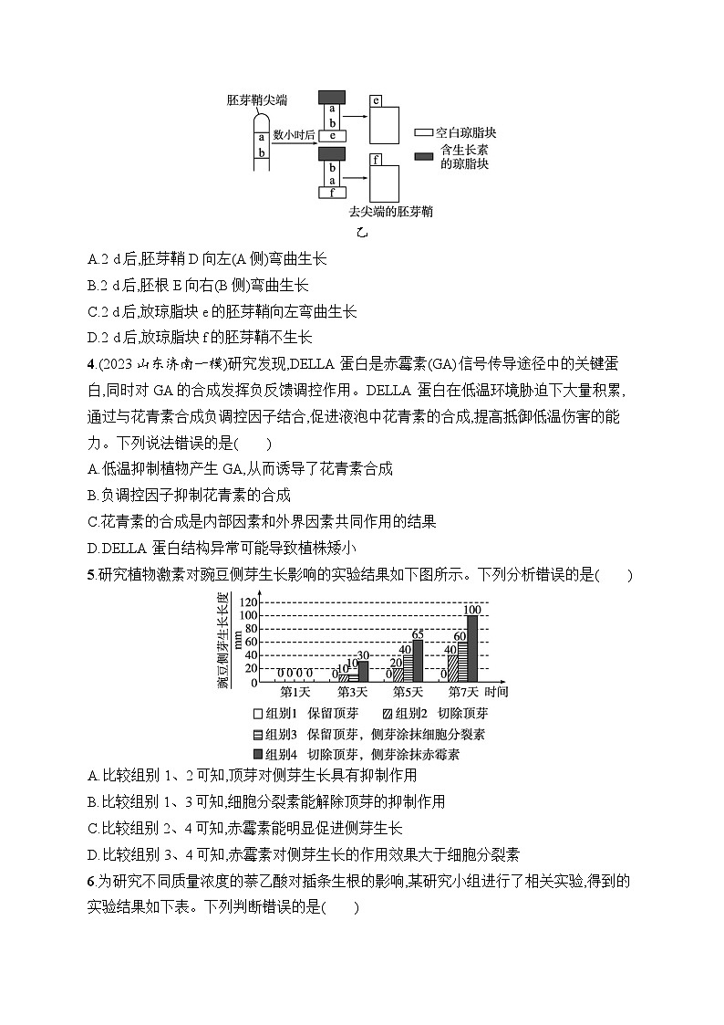 2025届高三一轮复习生物新高考新教材考点规范练28植物生命活动的调节（Word版附解析）02