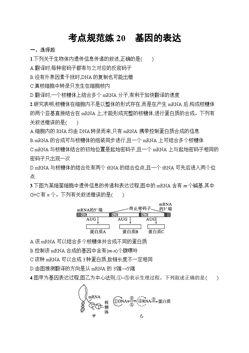 2025届高三一轮复习生物新高考新教材考点规范练20基因的表达（Word版附解析）第1页