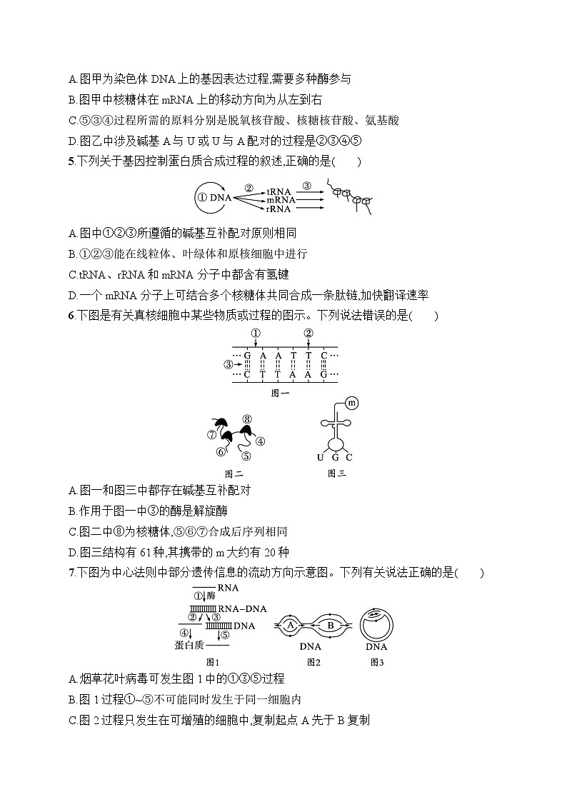 2025届高三一轮复习生物新高考新教材考点规范练20基因的表达（Word版附解析）第2页