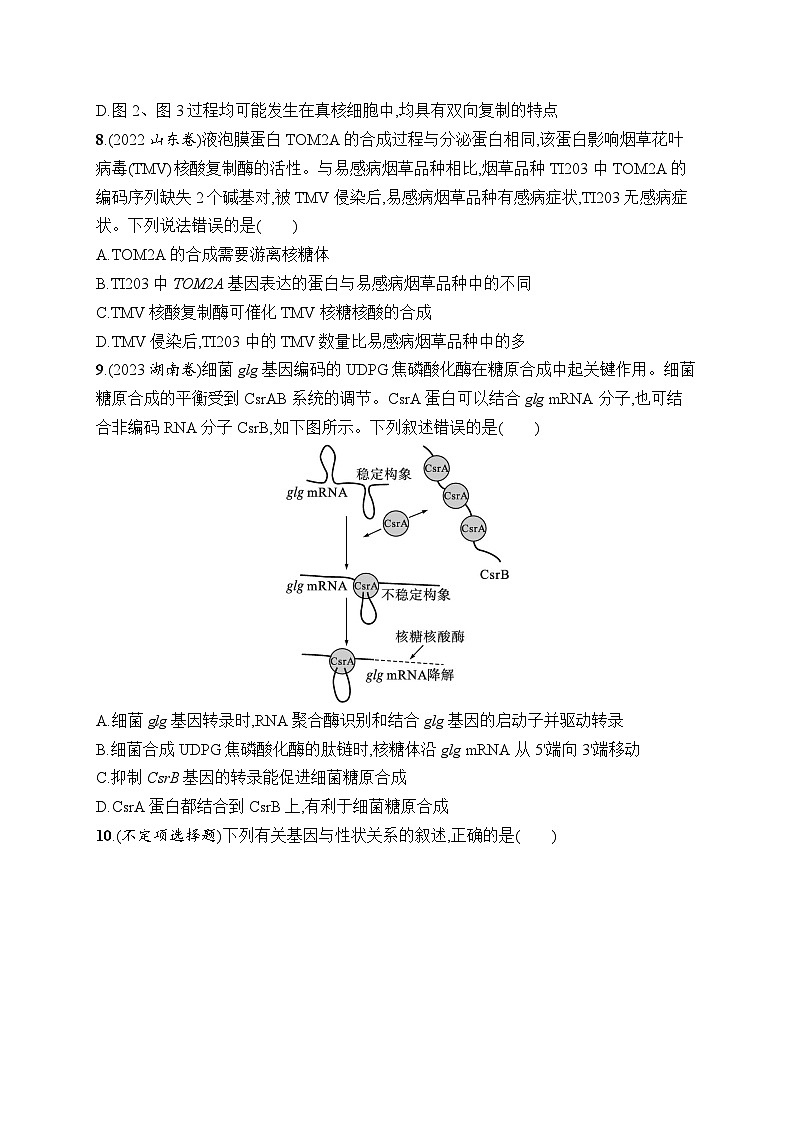 2025届高三一轮复习生物新高考新教材考点规范练20基因的表达（Word版附解析）第3页