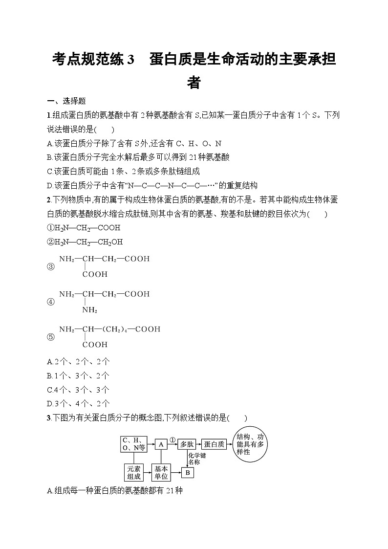 2025届高三一轮复习生物新高考新教材考点规范练3蛋白质是生命活动的主要承担者…（Word版附解析）01