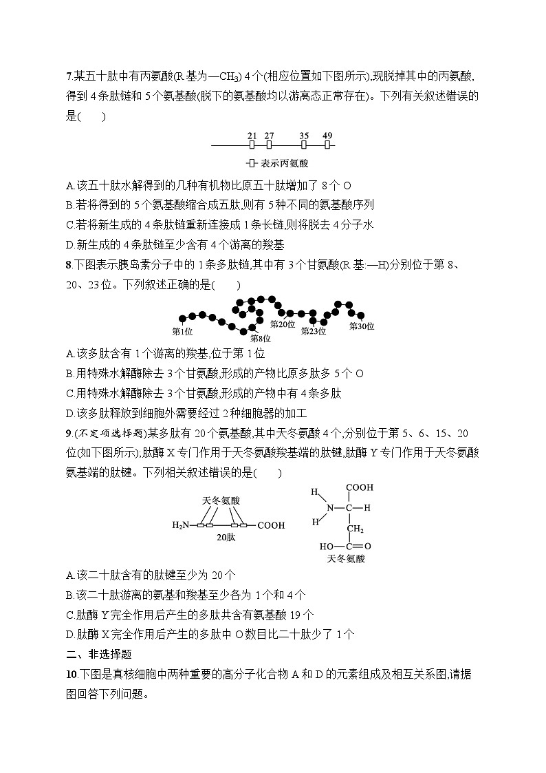 2025届高三一轮复习生物新高考新教材考点规范练3蛋白质是生命活动的主要承担者…（Word版附解析）03