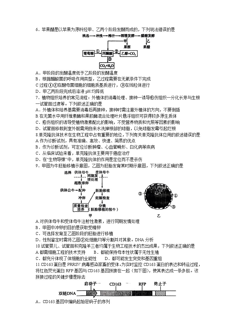 河南省百师联盟2023-2024学年高二下学期4月联考生物试题02