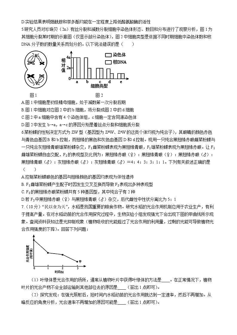 2024届四川省绵阳市涪城区南山中学高三三模考试生物试题第2页