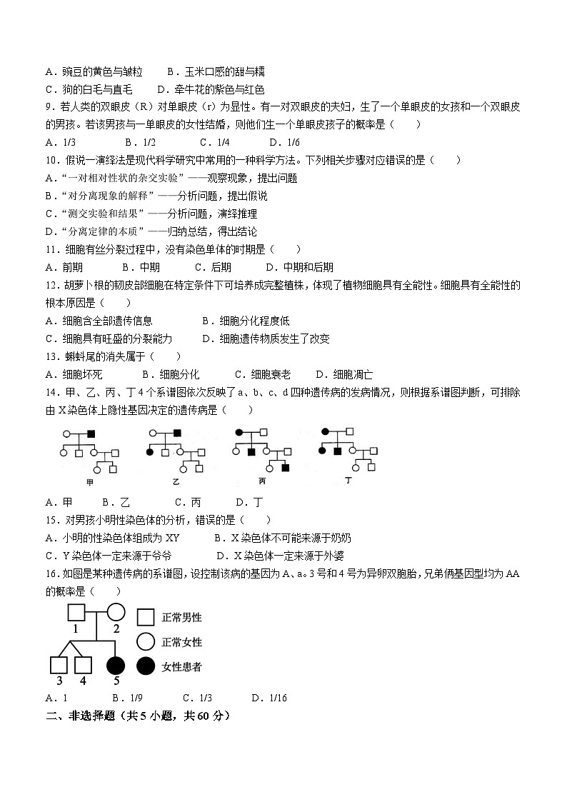 广东省肇庆市鼎湖区鼎湖中学2023-2024学年下学期高一4月生物考试试题02
