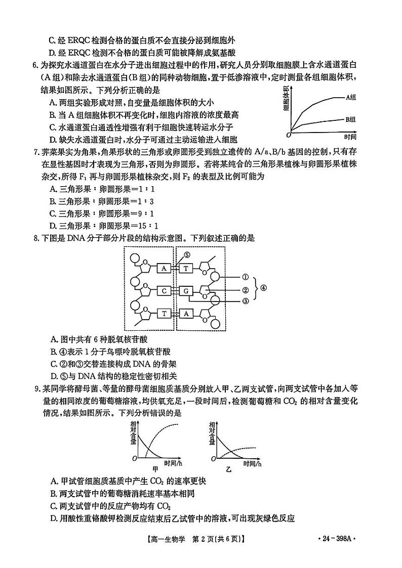 湖北省2023-2024学年高一下学期4月期中生物试题第2页