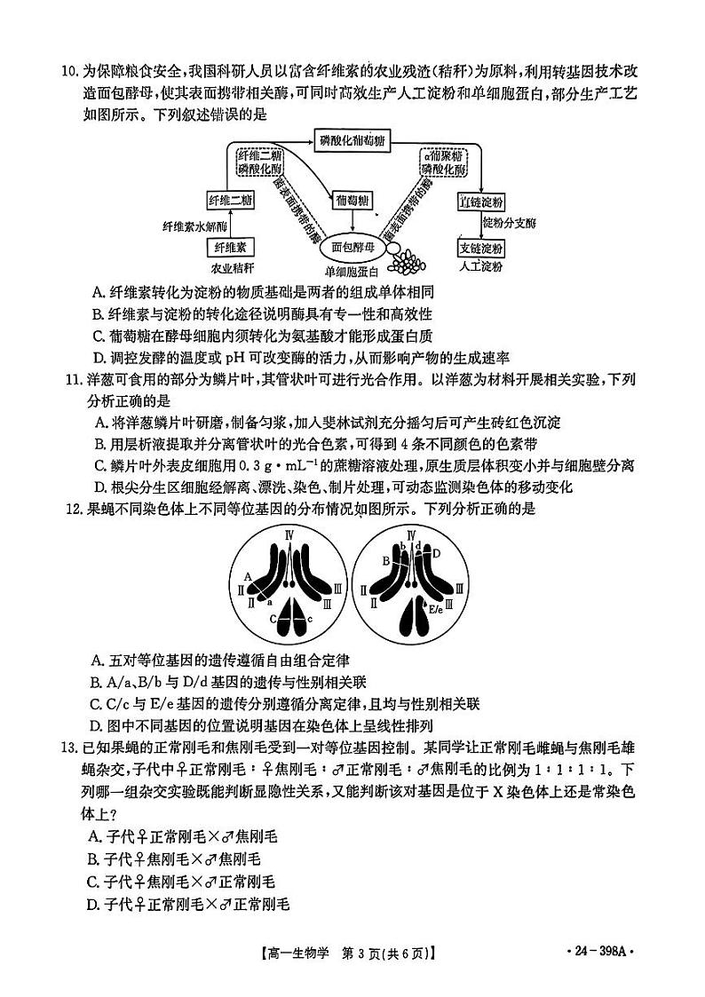 湖北省2023-2024学年高一下学期4月期中生物试题第3页