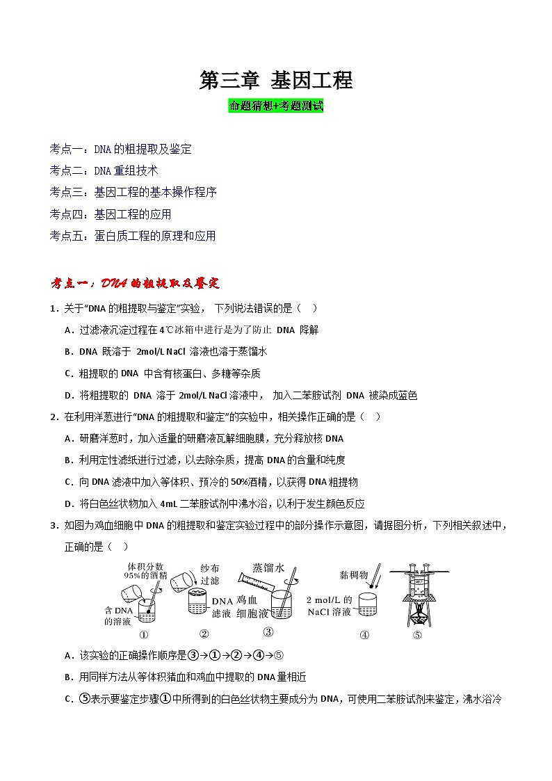 【期中复习】2023-2024学年（人教版2019选择性必修3）高二生物下册之专题训练 第三章 基因工程（原卷版）第1页