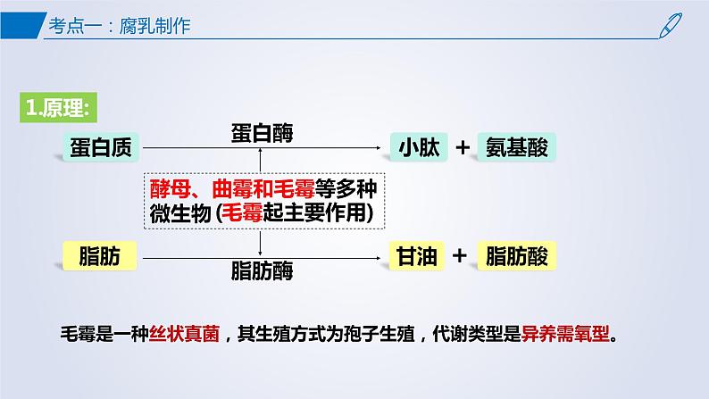 【期中复习】2023-2024学年（人教版2019选择性必修3）高二生物下册之考点复习 第1章发酵工程课件06