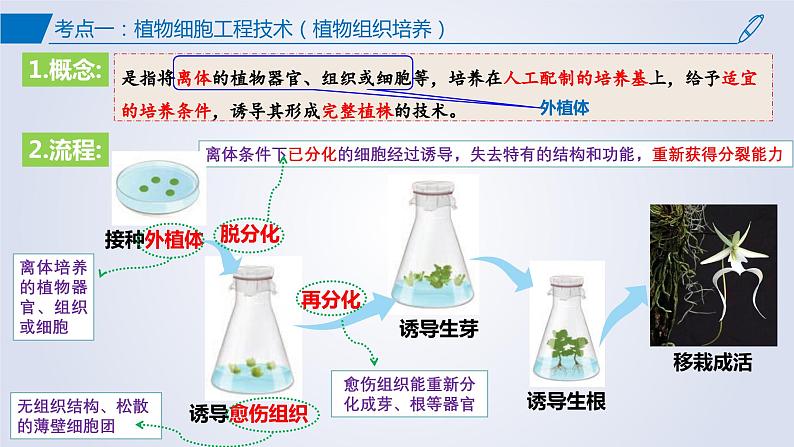 【期中复习】2023-2024学年（人教版2019选择性必修3）高二生物下册之考点复习 第2章细胞工程课件06