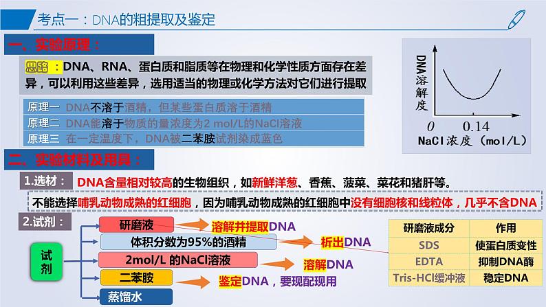 【期中复习】2023-2024学年（人教版2019选择性必修3）高二生物下册之考点复习 第3章基因工程课件第6页