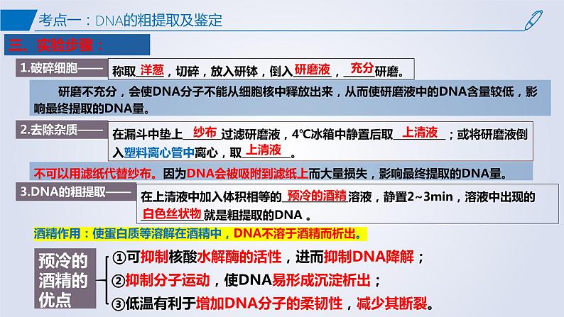 【期中复习】2023-2024学年（人教版2019选择性必修3）高二生物下册之考点复习 第3章基因工程课件第7页