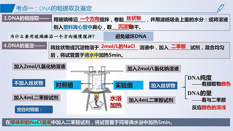 【期中复习】2023-2024学年（人教版2019选择性必修3）高二生物下册之考点复习 第3章基因工程课件第8页