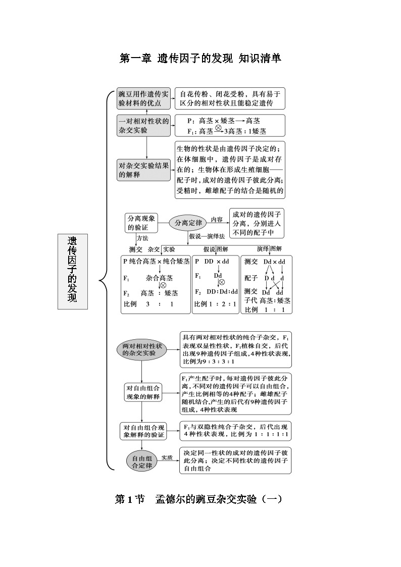 【期中复习】人教版2019必修2023-2024学年高一下册生物 第1章 遗传因子的发现（知识点梳理）01