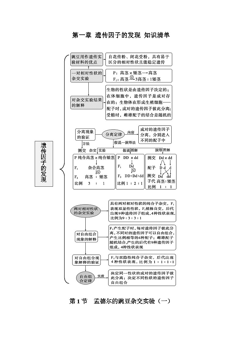 【期中复习】人教版2019必修2023-2024学年高一下册生物 第1章 遗传因子的发现（知识点梳理）第1页